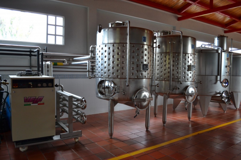 cave-TOURVES-min_wine_production_cantine_winery_drink_alcohol_vine_beverage-902036